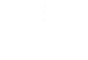 usa-flag-img